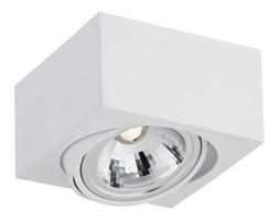 RODOS LED oprawa sufitowa natynkowa 1 x 7W LED ARGON 3070 Oprawa stropowa Oprawa led Styl nowoczesny