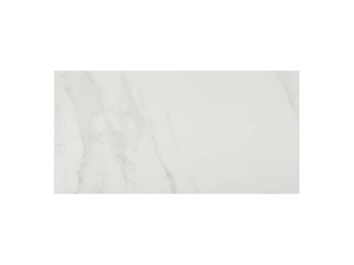 Navarti Forum Blanco 120x60 Płytka Gresowa NA/FO612BLP