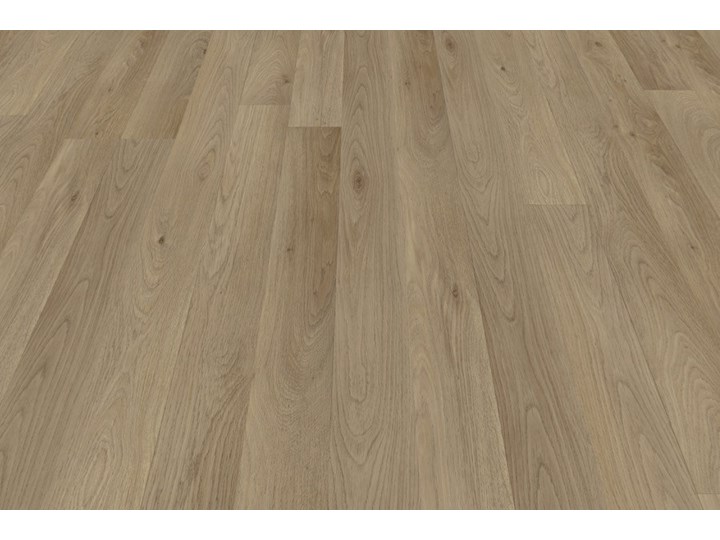 Oak Select (M8003)