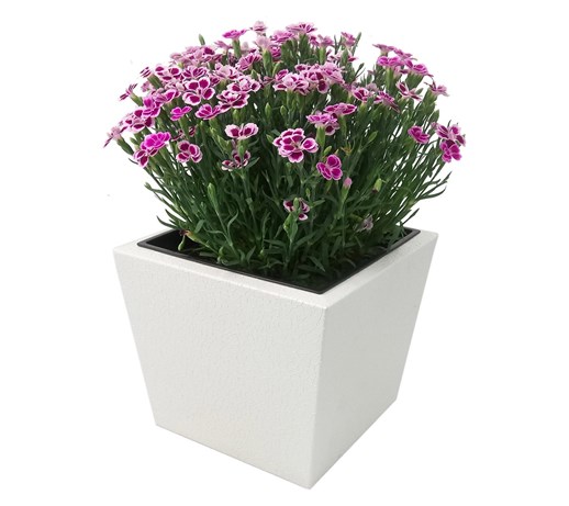 Donica, doniczka "Dalia" DON0001S