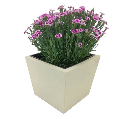 Donica, doniczka "Dalia" DON0006S