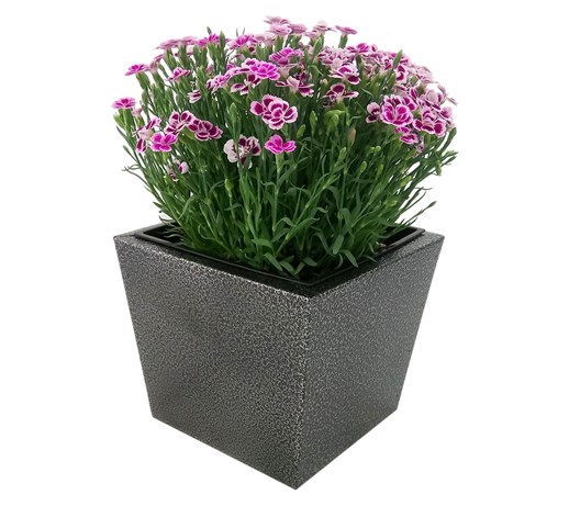Donica, doniczka "Dalia" DON0002S