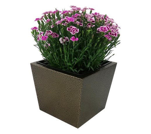 Donica, doniczka "Dalia" DON0003S