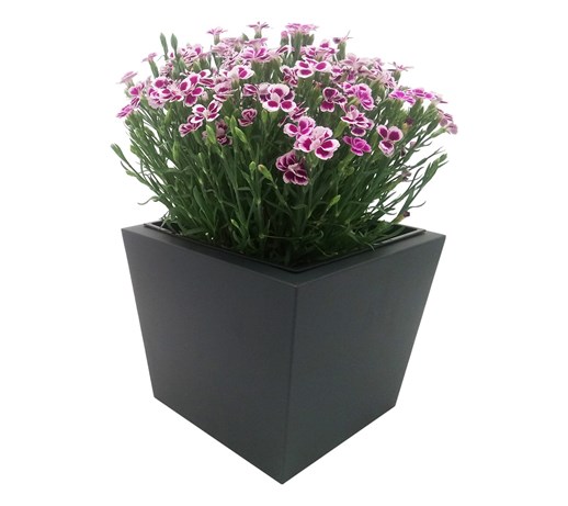 Donica, doniczka "Dalia" DON0007S