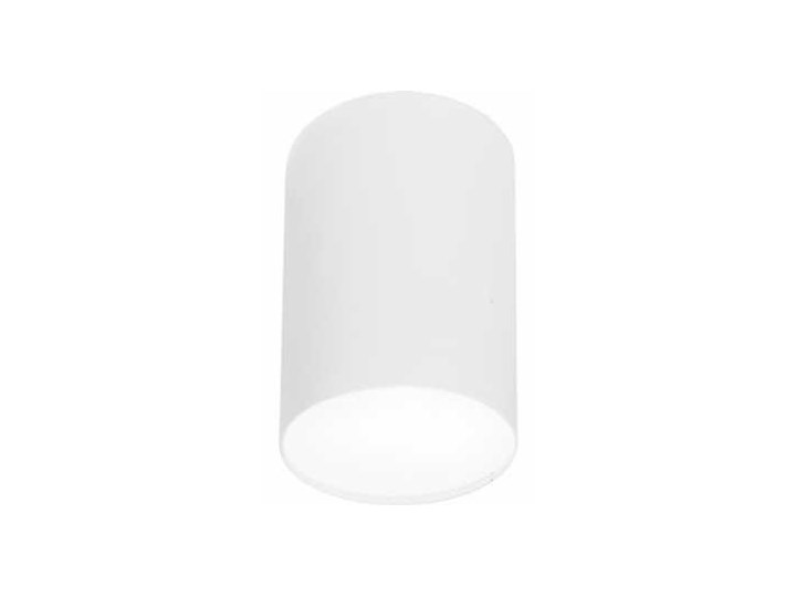 Spot Nowodvorski Plexi L 6528 plafon lampa natynkowa downlight 1x20W E27 biały >>> RABATUJEMY do 20% KAŻDE zamówienie !!! - wysyłka w 24h