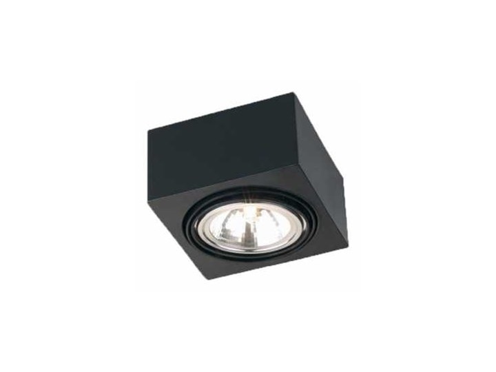 Plafon Argon Rodos 346 sufitowy ruchomy lampa 1x48W G9 Czarny >>> RABATUJEMY do 20% KAŻDE zamówienie !!! - wysyłka w 24h