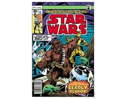 Obraz Star Wars - Deadly Reunion 70-458 Wymiary 50x70 cm