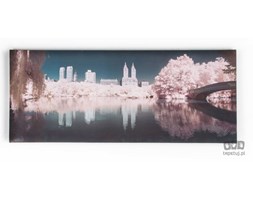 Obraz Central Park 41-495