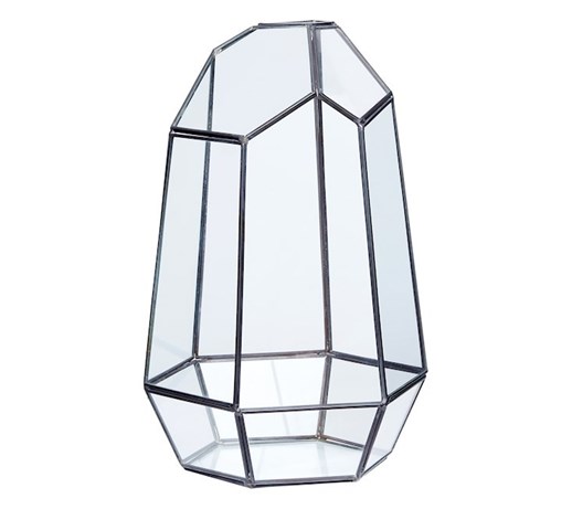 Tarrarium ICE II