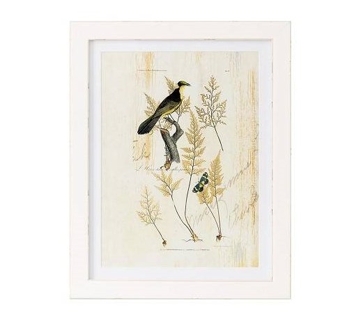 Obraz Bird 35x45 cm