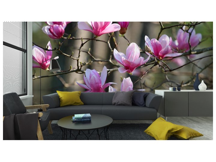 Fototapeta Magnolia Japońska