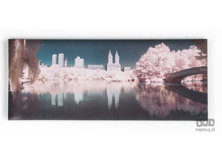 Obraz Central Park 41-495