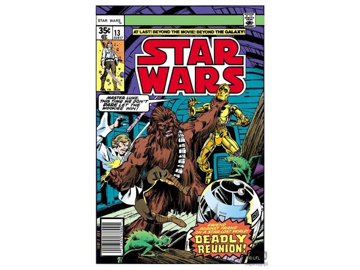 Obraz Star Wars - Deadly Reunion 70-458