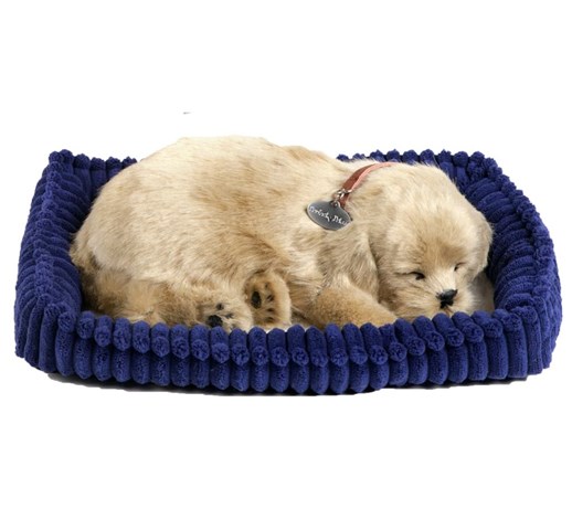 Perfect Petzzz Piesek Golden Retriever 96118