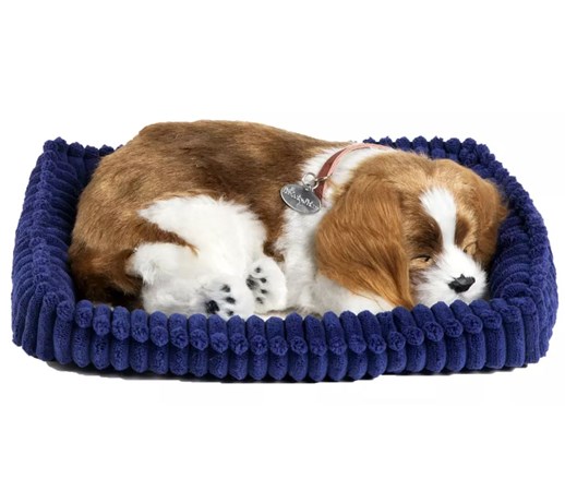 Perfect Petzzz Spaniel Cavalier King Charles 96309