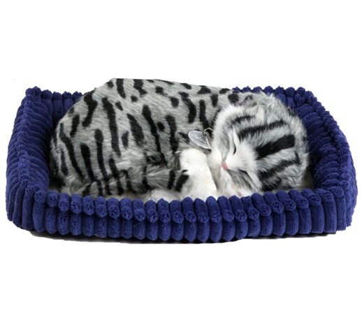 Perfect Petzzz Pręgowany kot 92561