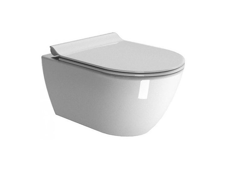 PURA MUSZLA PODWIESZANA 55 SWIRLFLUSH - 881511 +ZEST.MONT. FISR2 - GSI