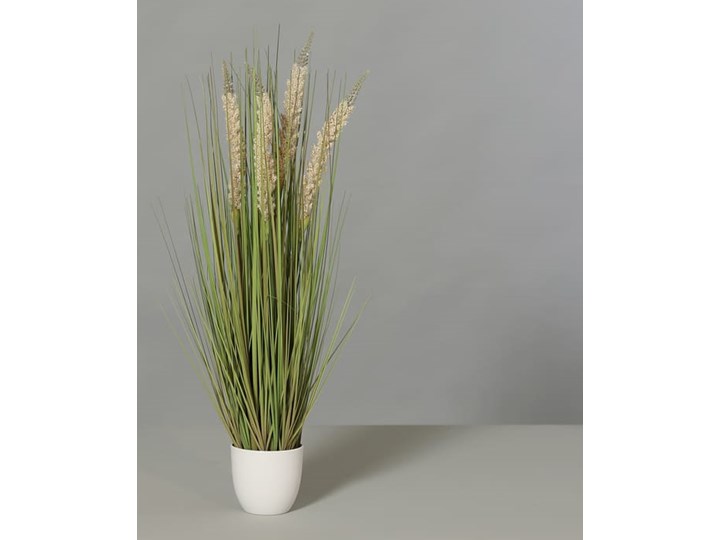 Trawa z kłosami w donicy 76cm