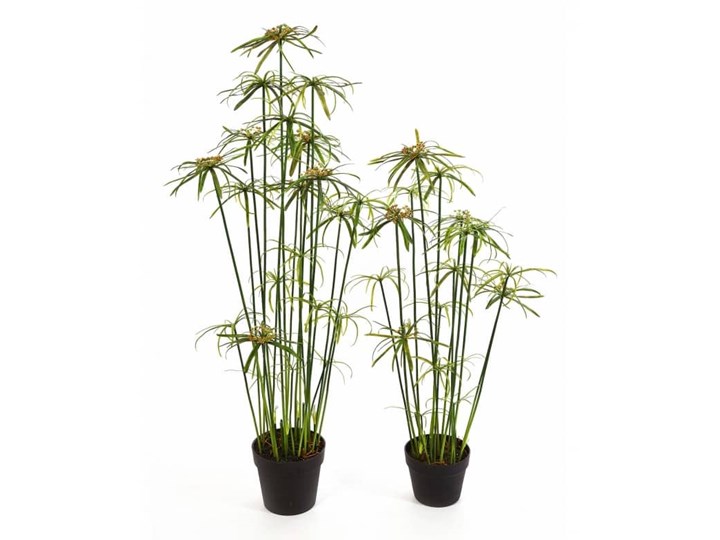 Sztuczny Papirus- Cibora Zmienna - 125cm