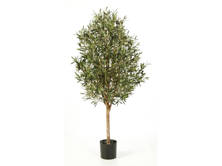 Drzewko oliwkowe natural vine - 140cm