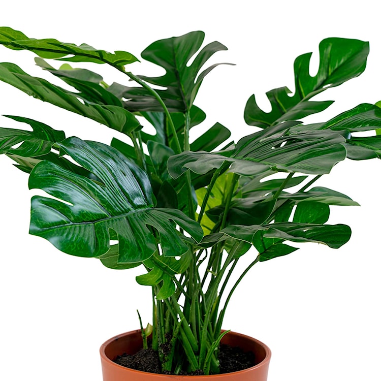 Sztuczny kwiat Derbidly Monstera 45 cm  - zdjęcie 2