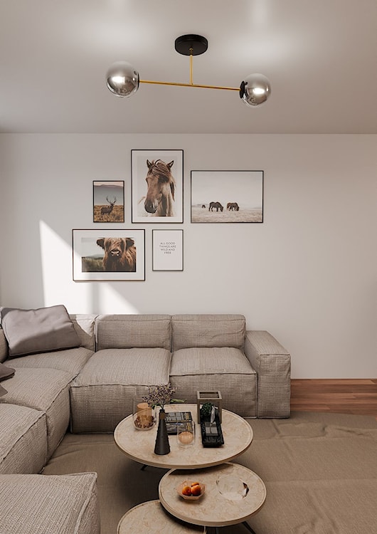 Lampa sufitowa Manngum czarno-złota z grafitowymi kloszami x2  - zdjęcie 3