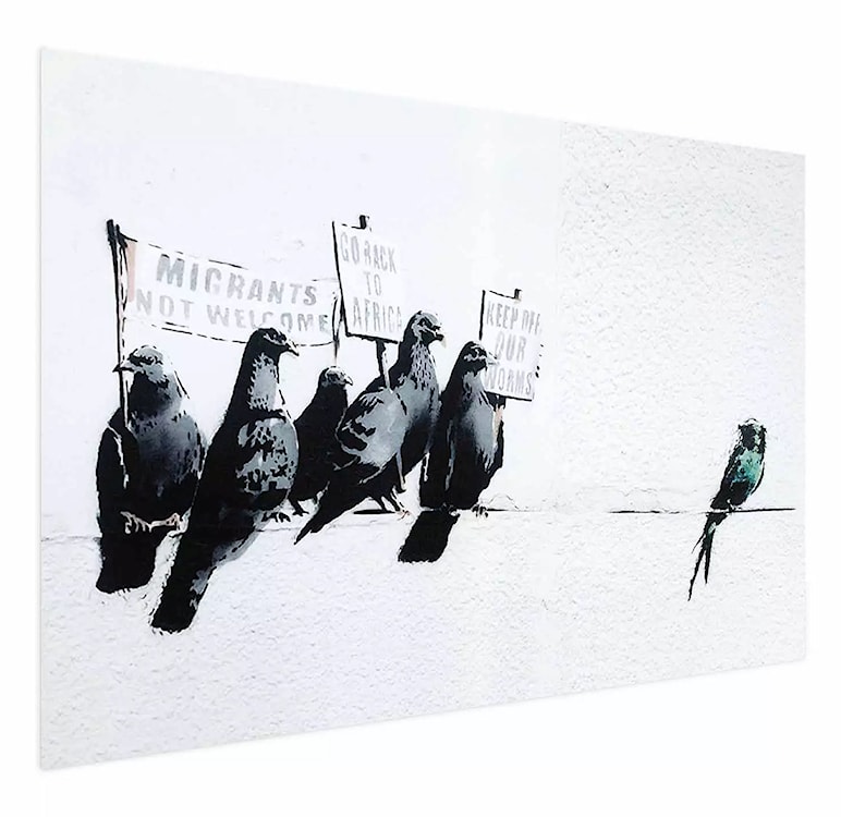Plakat Gołębie 90x60 cm 