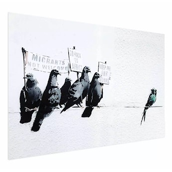 Plakat Gołębie 90x60 cm