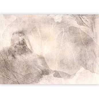 Fototapeta Nocna abstrakcja 350x256 cm