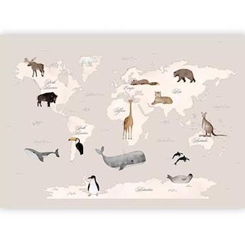 Fototapeta Mapa świata dla dzieci 350x256 cm