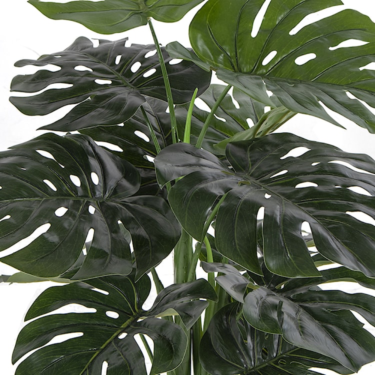 Sztuczny kwiat Derbidly Monstera 90 cm  - zdjęcie 3