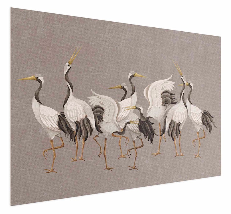 Plakat Taniec żurawi 90x60 cm