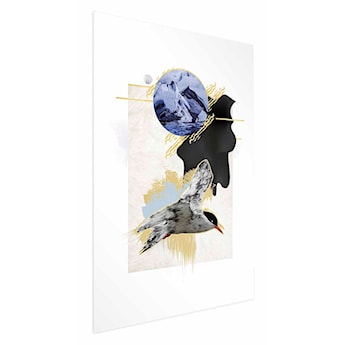Plakat Rybitwa antarktyczna 90x60 cm