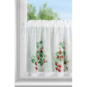 Zazdrostka Ksenia biała z truskawkami