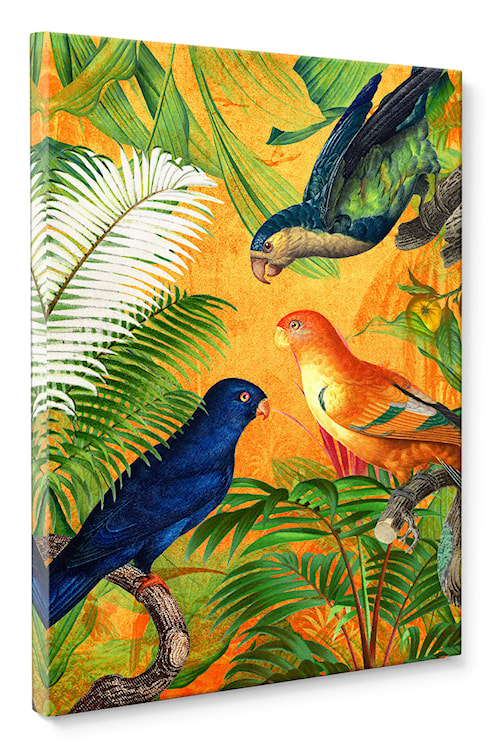 Obraz Orange Parrot 100x70 cm wielokolorowy