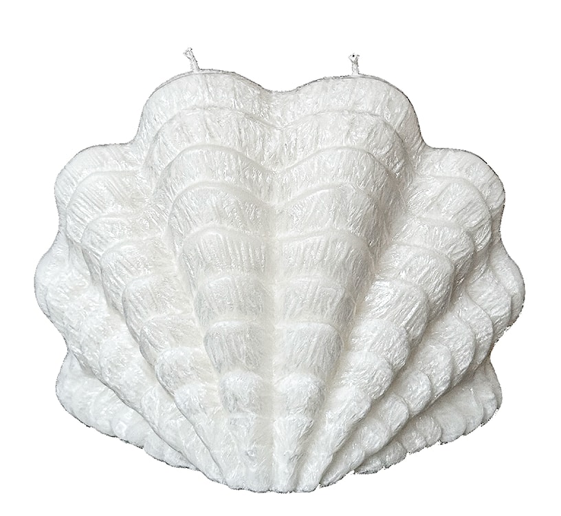 Świeca z wosku palmowego Shell Big 640 g