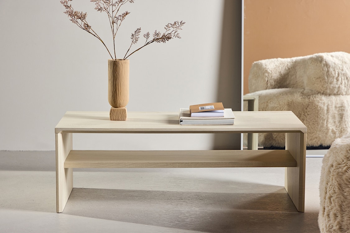 Stolik kawowy Lorren 100x50 cm dąb bielony z półką  - zdjęcie 2