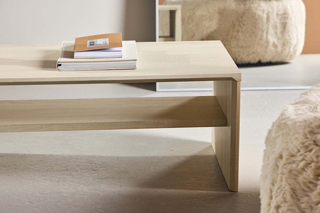 Stolik kawowy Lorren 100x50 cm dąb bielony z półką  - zdjęcie 5