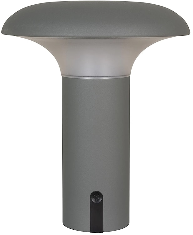 Lampa ogrodowa Miraeled LED szara 