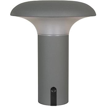 Lampa ogrodowa Miraeled LED szara