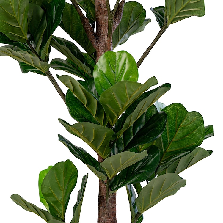 Sztuczne drzewko Derbidly Figowiec dębolistny 190 cm  - zdjęcie 3