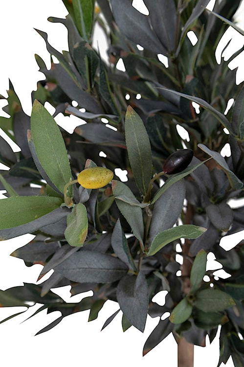 Sztuczne drzewko oliwne Derbidly 120 cm  - zdjęcie 4