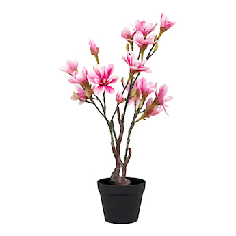 Sztuczny kwiat Derbidly Magnolia 75 cm