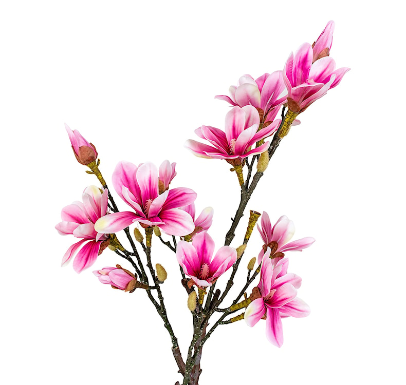 Sztuczny kwiat Derbidly Magnolia 75 cm  - zdjęcie 3