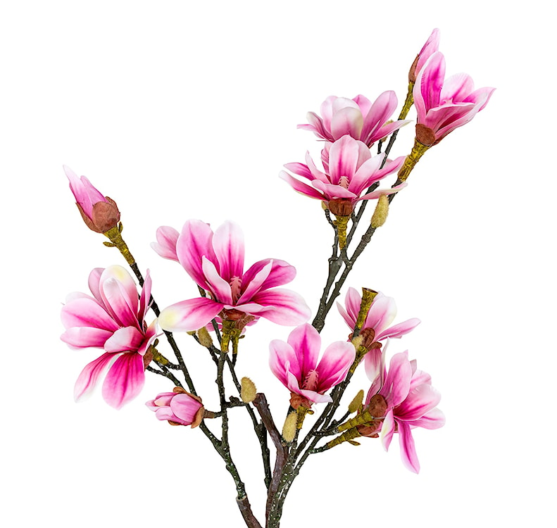 Sztuczny kwiat Derbidly Magnolia 75 cm  - zdjęcie 4