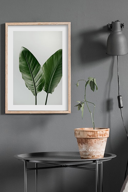 Plakat Ysela 40x50 cm rama drewniana czarna  - zdjęcie 2