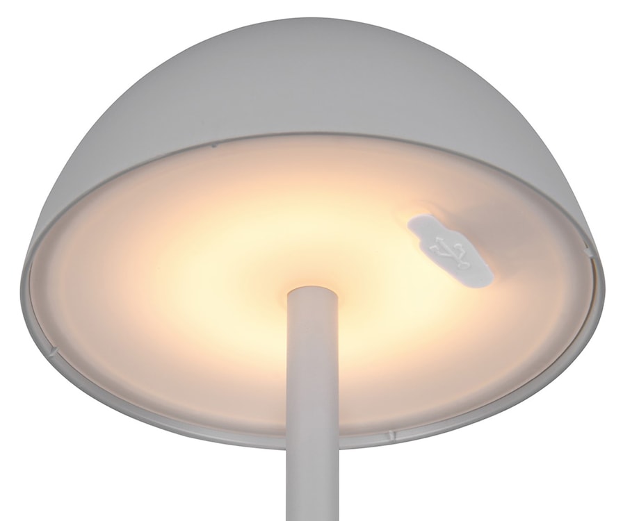 Lampa ogrodowa Ricardo LED szara  - zdjęcie 4