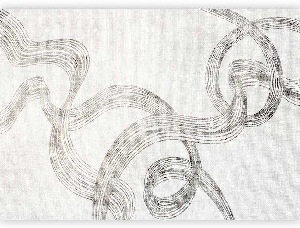 Fototapeta Abstrakcja - wstęgi szarości 250x175 cm