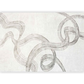 Fototapeta Abstrakcja - wstęgi szarości 250x175 cm