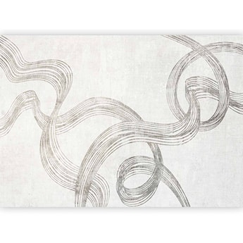 Fototapeta Abstrakcja - wstęgi szarości 400x280 cm